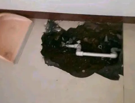 乐陵卫生间测漏水多少钱